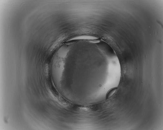 X0000102230167200808011233