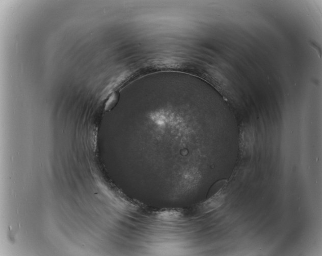X0000102230168200808011233