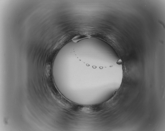X0000102230171200808011233