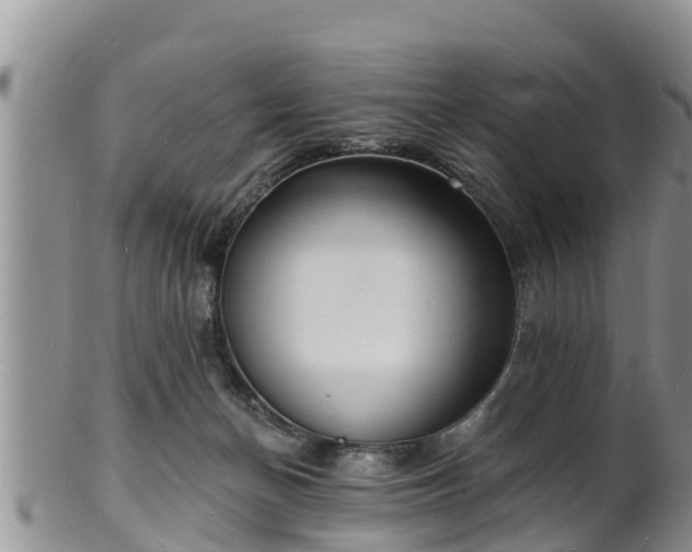 X0000102230174200808011233