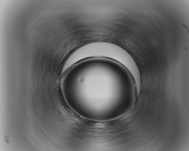 X0000102230176200808011233