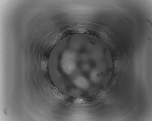 X0000102230177200808011233