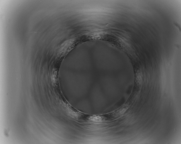 X0000102230181200808011233