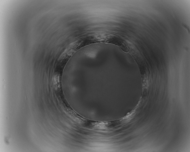 X0000102230182200808011233