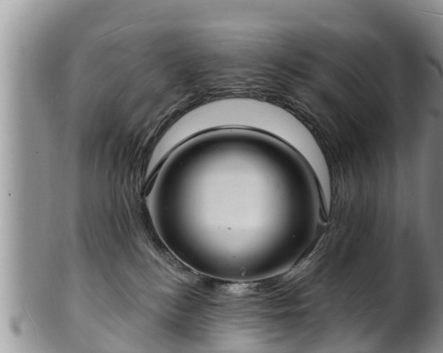 X0000102230184200808011233