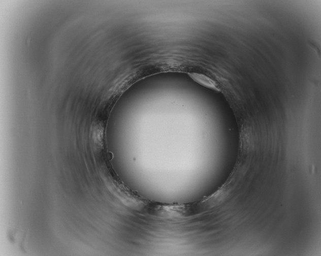 X0000102230188200808011233