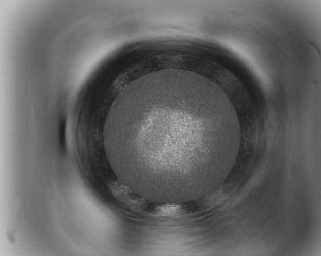 X0000102230189200808011233