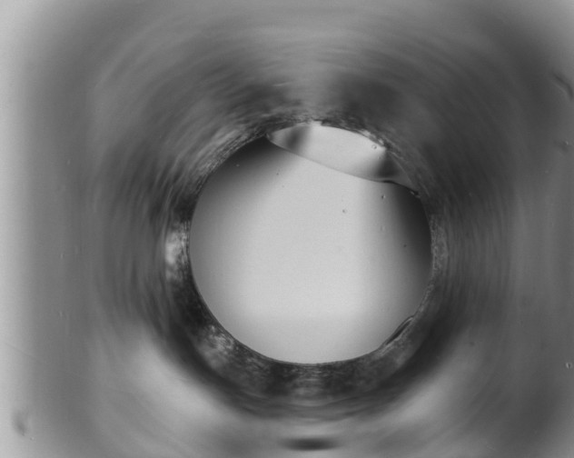 X0000102230191200808011233