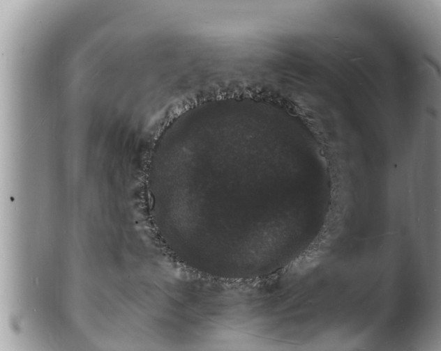X0000102230192200808011233