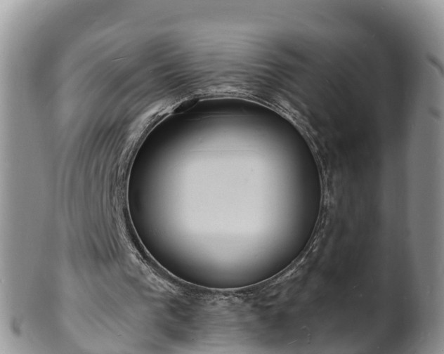 X0000102230193200808011233