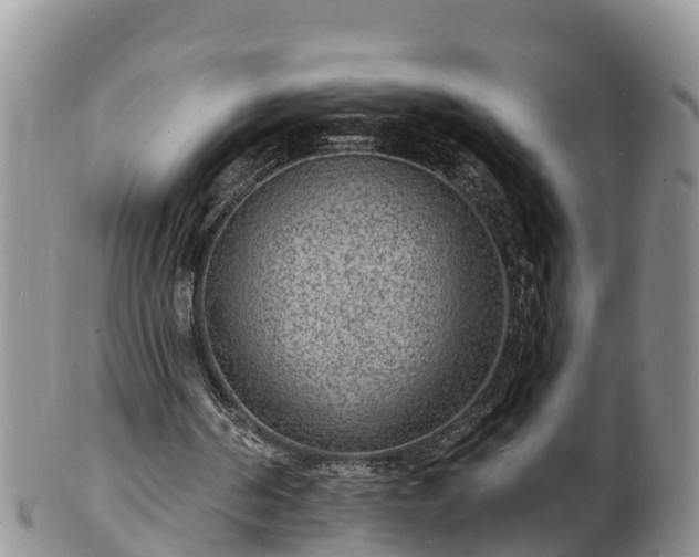 X0000102230194200808011233