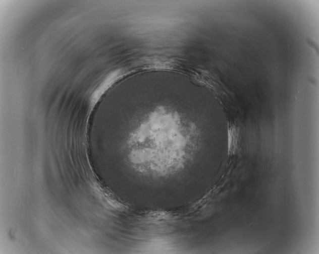 X0000102230195200808011233