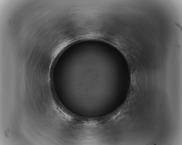X0000102230196200808011233