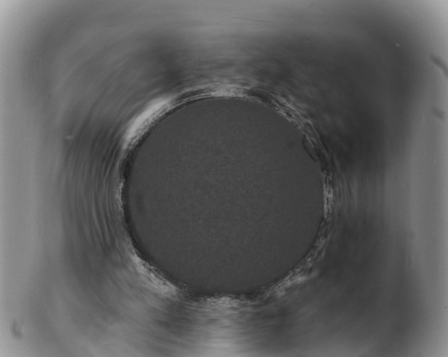 X0000102230197200808011233