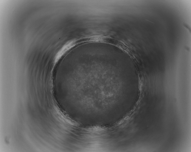 X0000102230198200808011233