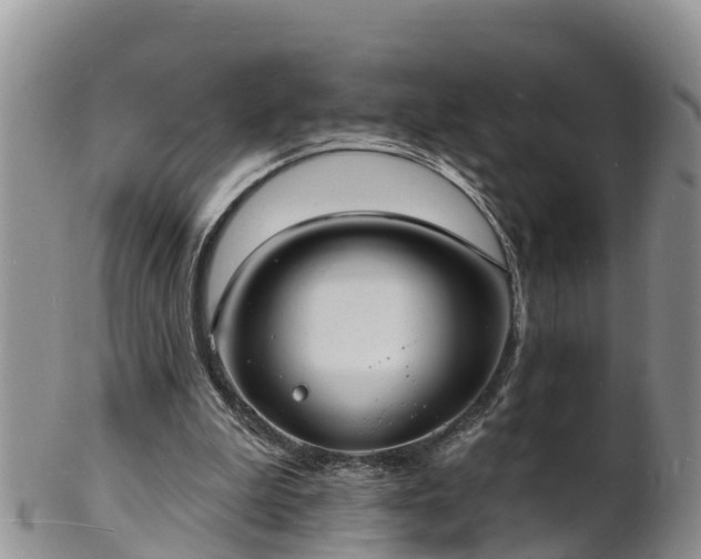 X0000102230199200808011233