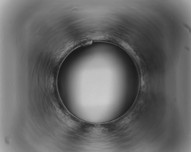 X0000102230201200808011233