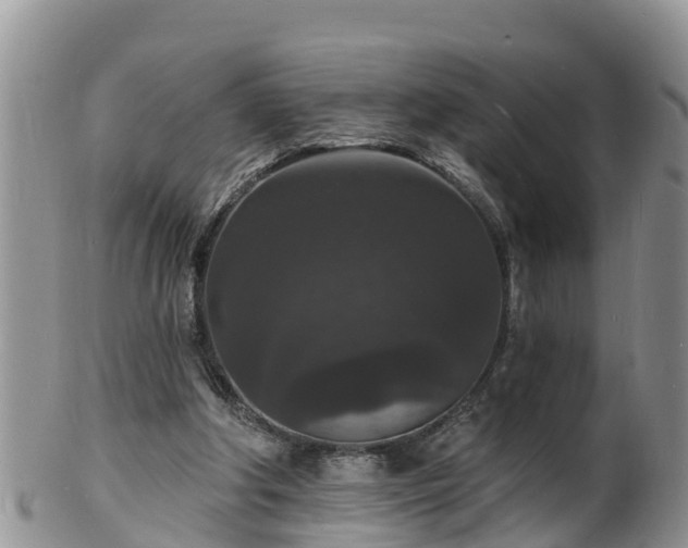 X0000102230202200808011233