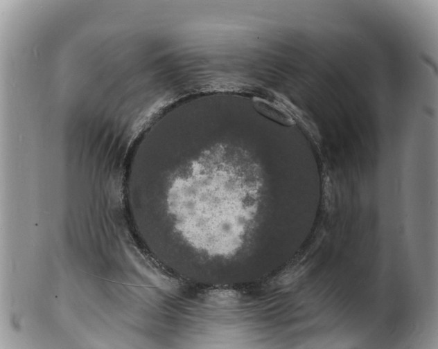 X0000102230203200808011233