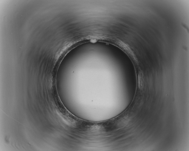X0000102230204200808011233
