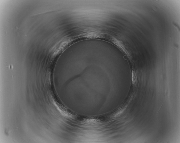 X0000102230205200808011233