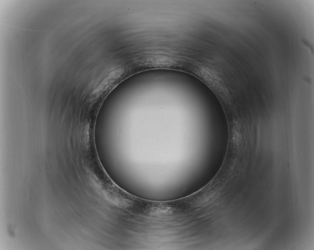 X0000102230206200808011232