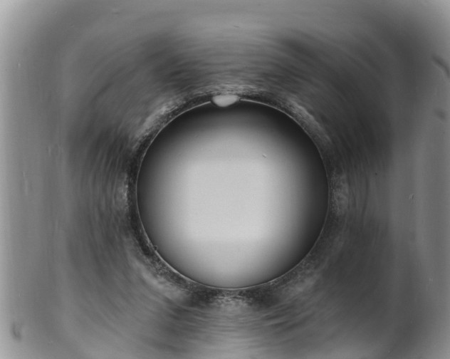X0000102230207200808011232