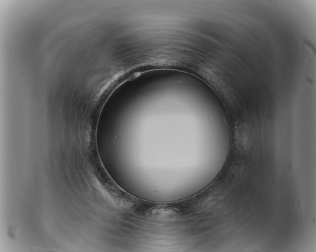 X0000102230208200808011232