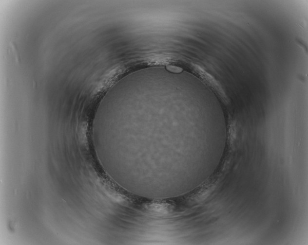 X0000102230209200808011232