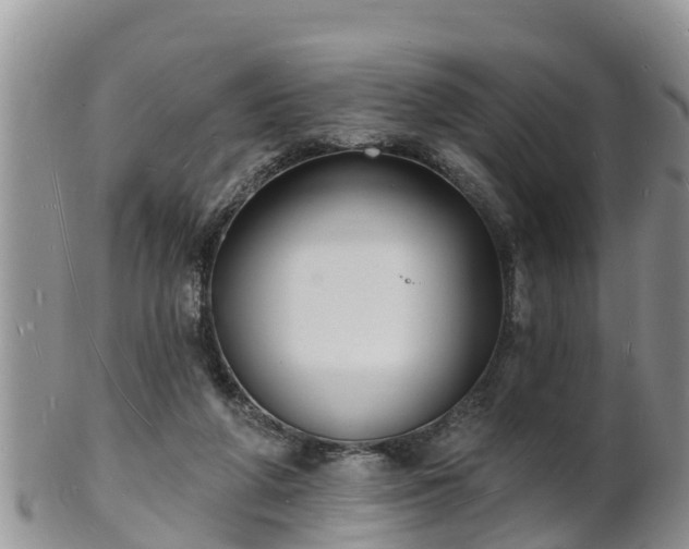 X0000102230210200808011232