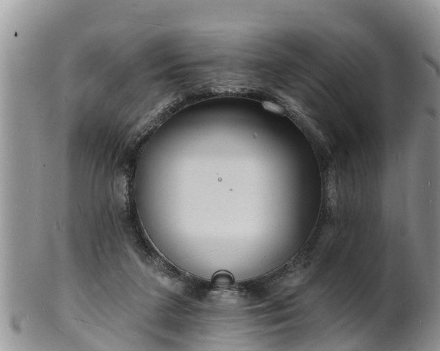 X0000102230211200808011232