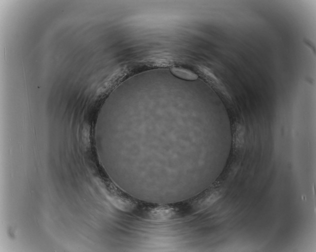 X0000102230213200808011232