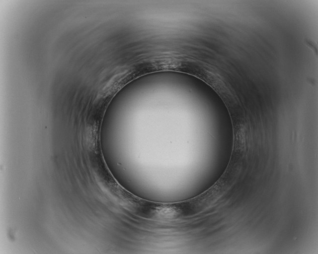 X0000102230218200808011232
