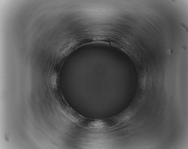 X0000102230219200808011232