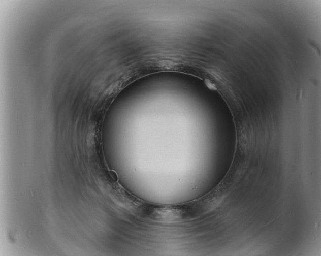 X0000102230221200808011232