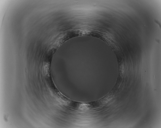 X0000102230222200808011232