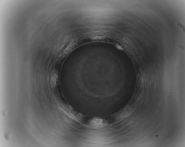 X0000102230227200808011232
