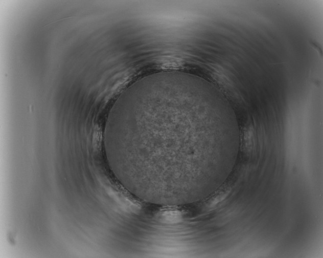 X0000102230228200808011232