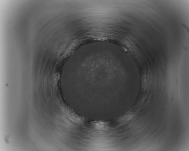 X0000102230229200808011232