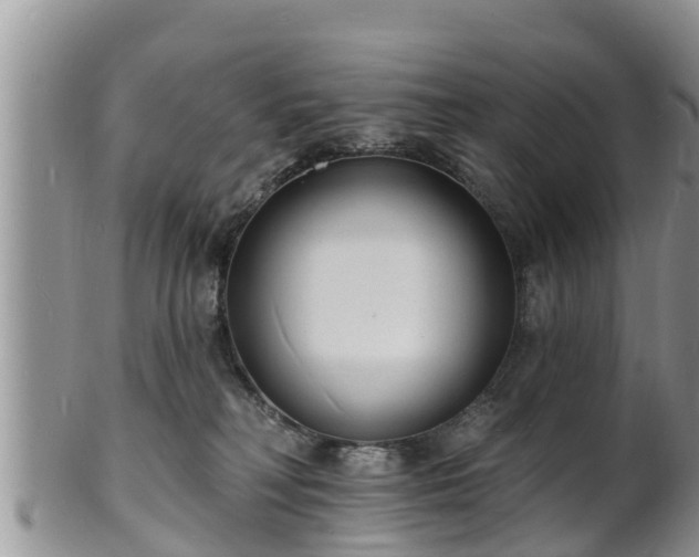 X0000102230230200808011232