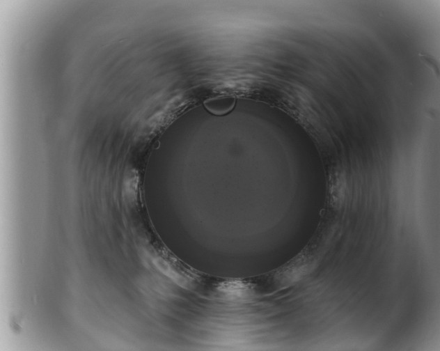 X0000102230231200808011232