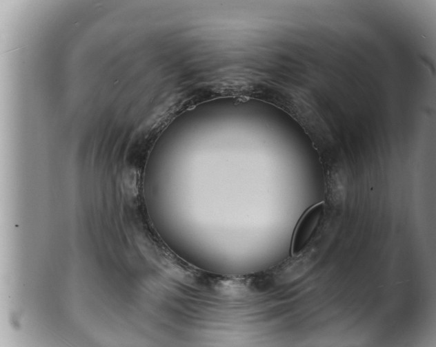 X0000102230232200808011232