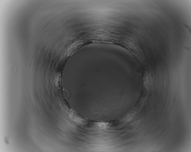 X0000102230233200808011232