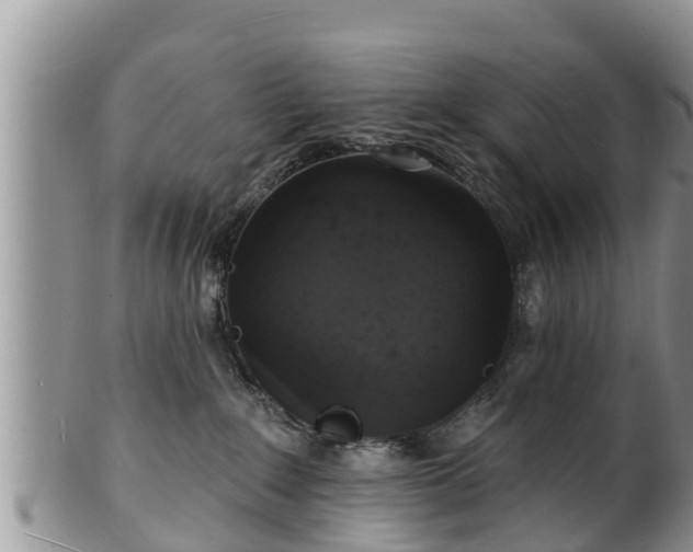 X0000102230235200808011232