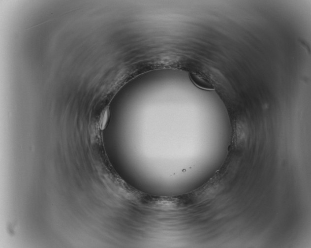 X0000102230236200808011232