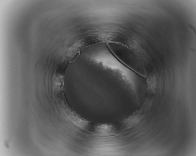 X0000102230237200808011232