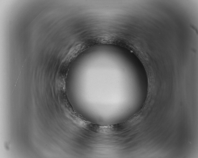 X0000102230240200808011232