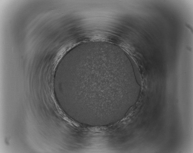 X0000102230241200808011231
