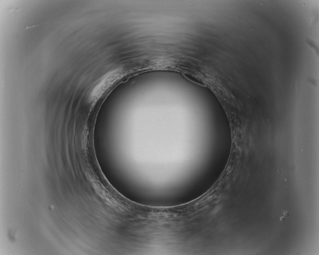 X0000102230242200808011231