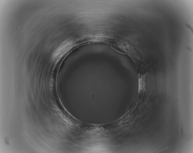 X0000102230243200808011231